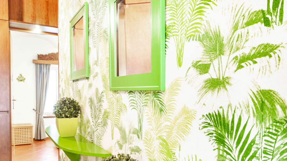 Calathea Green